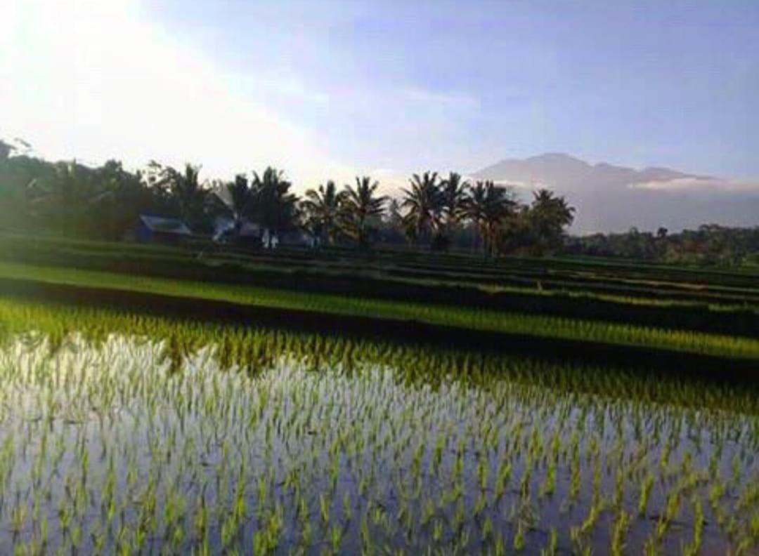Апартаменти Sky Garden Lombok Тетебату Екстер'єр фото