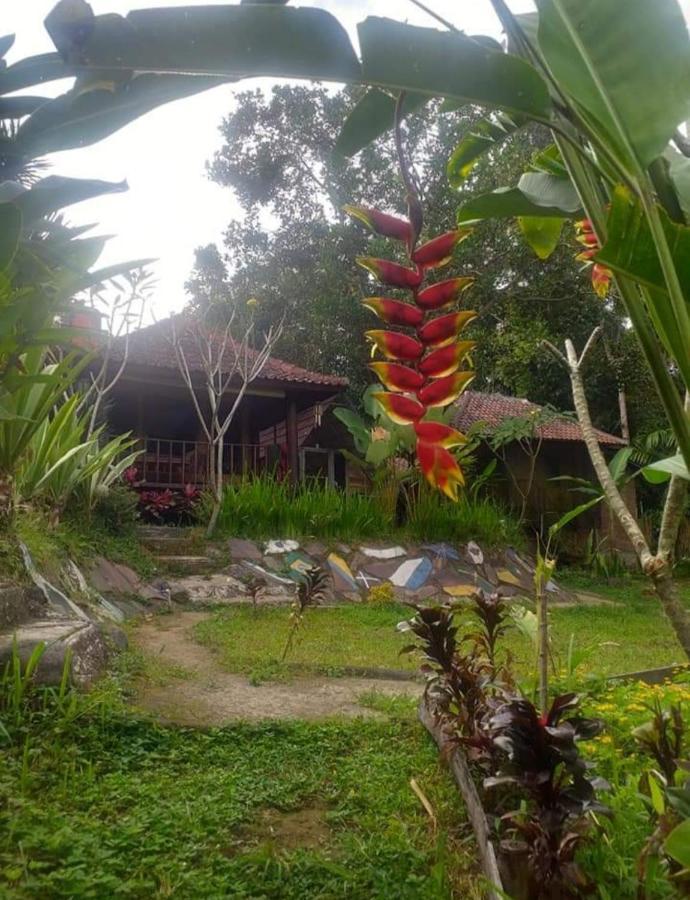 Апартаменти Sky Garden Lombok Тетебату Екстер'єр фото