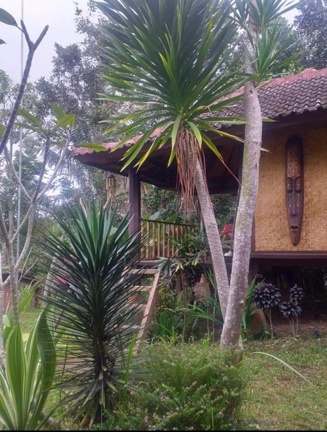 Апартаменти Sky Garden Lombok Тетебату Номер фото